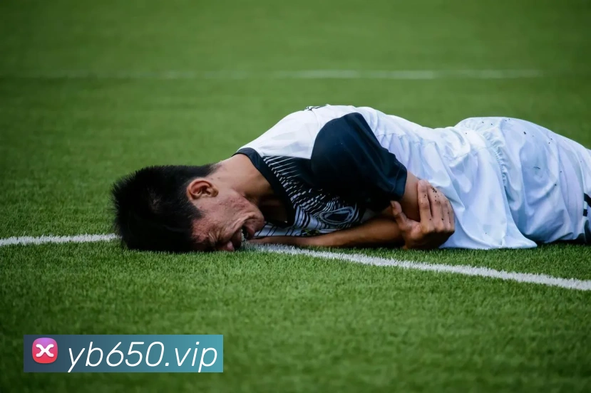 yabo亚博全站App yabo亚博全站App